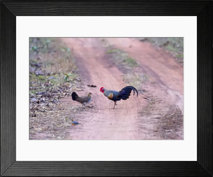 Framed Print : Picture No. 11050826 Framed Print : Picture No. 11050826