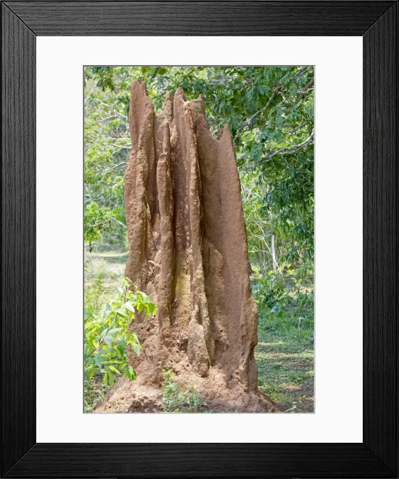 Framed Print : Picture No. 11050845 Framed Print : Picture No. 11050845