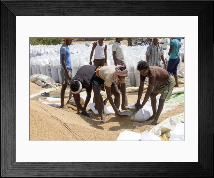 Framed Print : Picture No. 11050850 Framed Print : Picture No. 11050850
