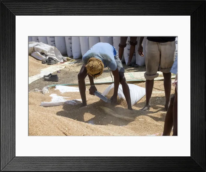 Framed Print : Picture No. 11050851 Framed Print : Picture No. 11050851