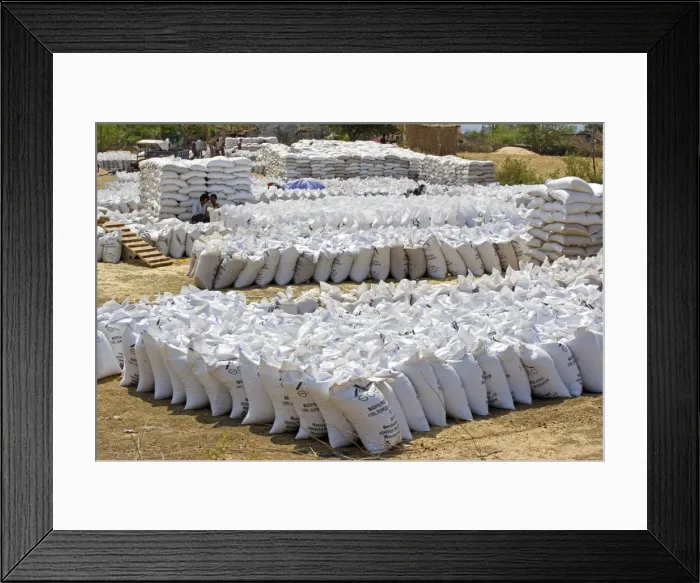 Framed Print : Picture No. 11050852 Framed Print : Picture No. 11050852