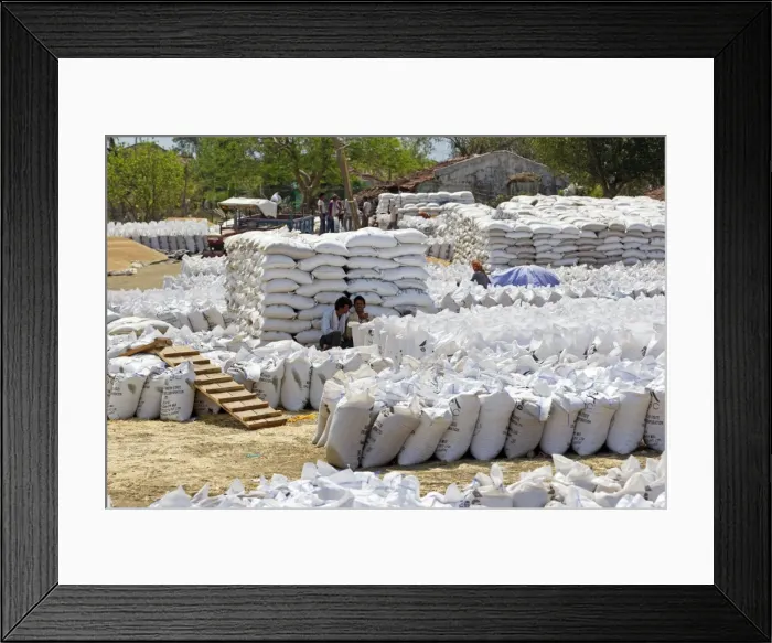 Framed Print : Picture No. 11050853 Framed Print : Picture No. 11050853