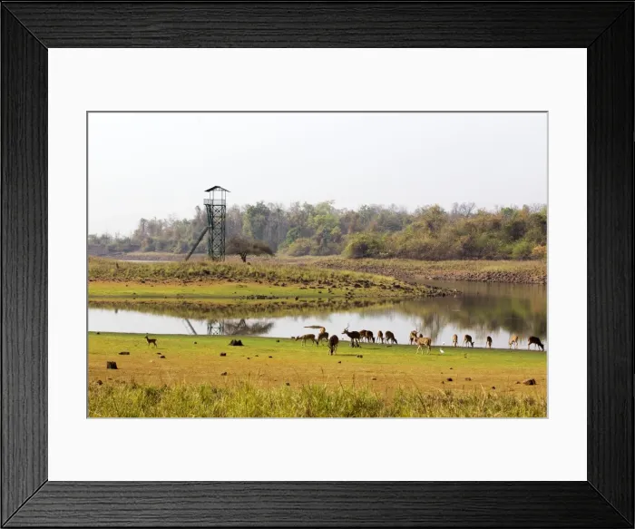 Framed Print : Picture No. 11050854 Framed Print : Picture No. 11050854