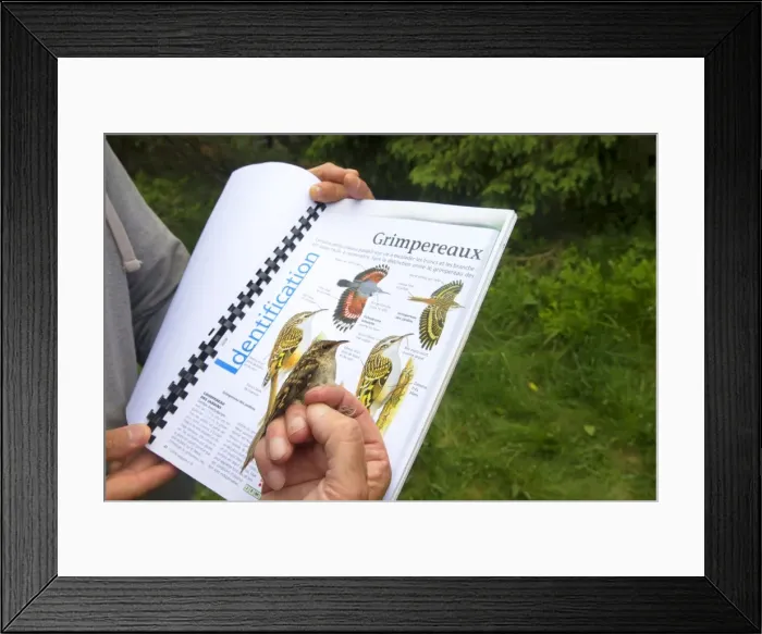 Framed Print : Picture No. 11050861 Framed Print : Picture No. 11050861