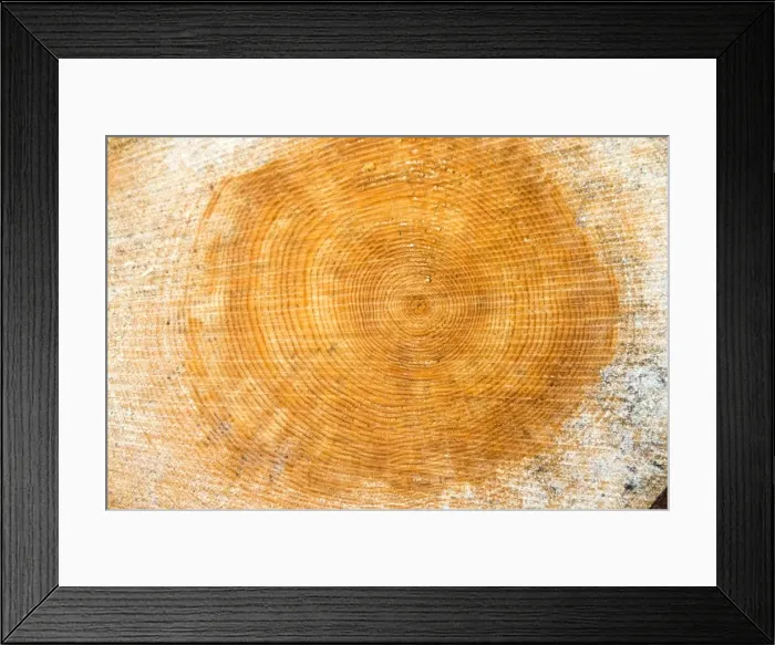 Framed Print : Picture No. 11050866 Framed Print : Picture No. 11050866
