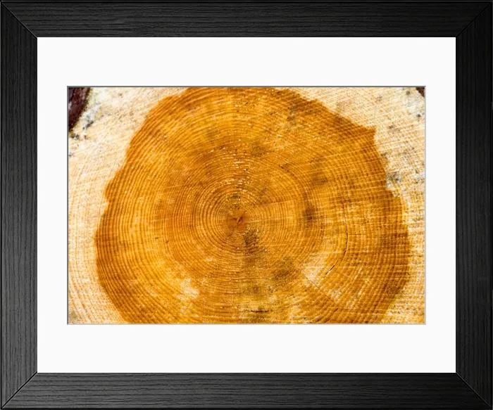 Framed Print : Picture No. 11050867 Framed Print : Picture No. 11050867