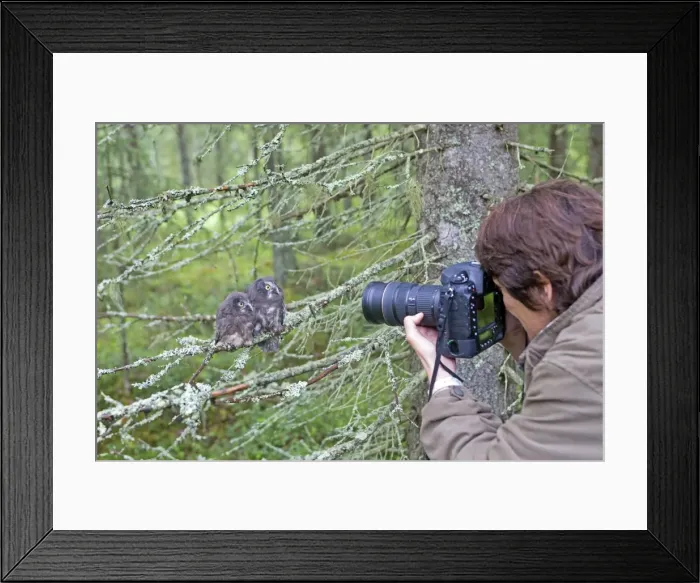 Framed Print : Picture No. 11050884 Framed Print : Picture No. 11050884