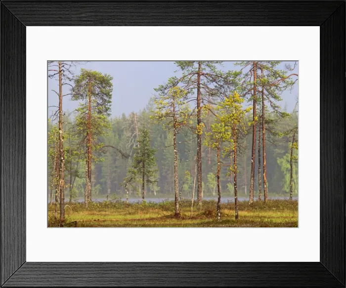 Framed Print : Picture No. 11050891 Framed Print : Picture No. 11050891