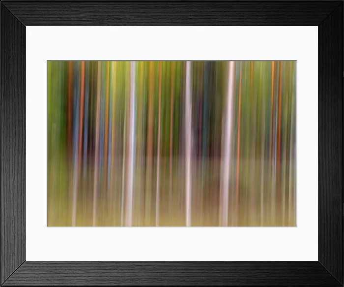 Framed Print : Picture No. 11050893 Framed Print : Picture No. 11050893