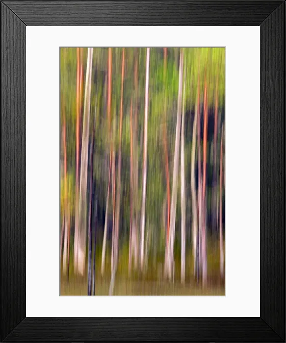 Framed Print : Picture No. 11050892 Framed Print : Picture No. 11050892