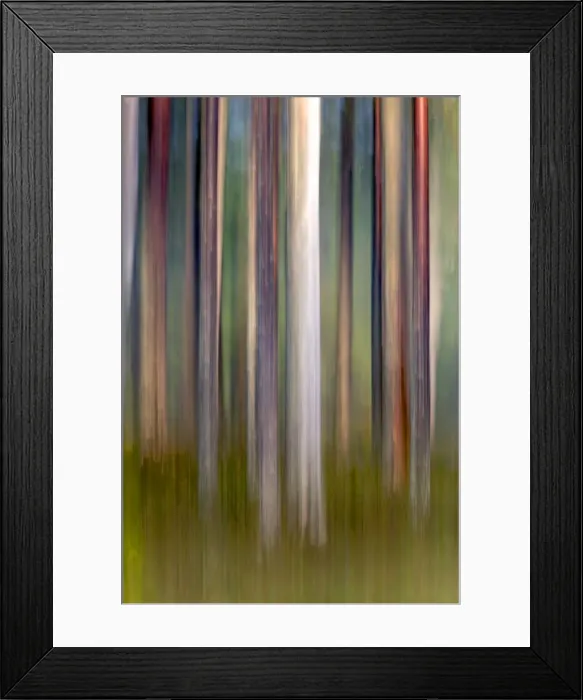 Framed Print : Picture No. 11050894 Framed Print : Picture No. 11050894