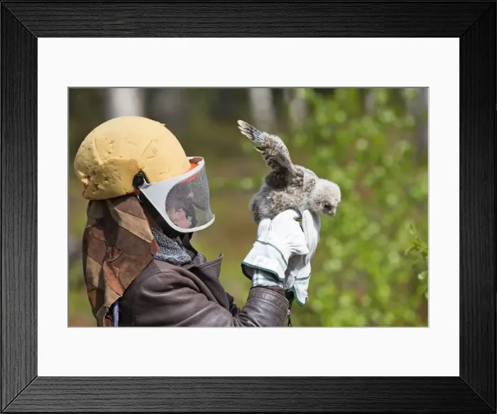 Framed Print : Picture No. 11050905 Framed Print : Picture No. 11050905