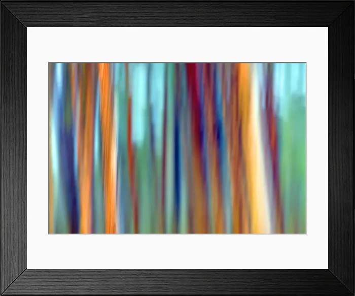 Framed Print : Picture No. 11050932 Framed Print : Picture No. 11050932
