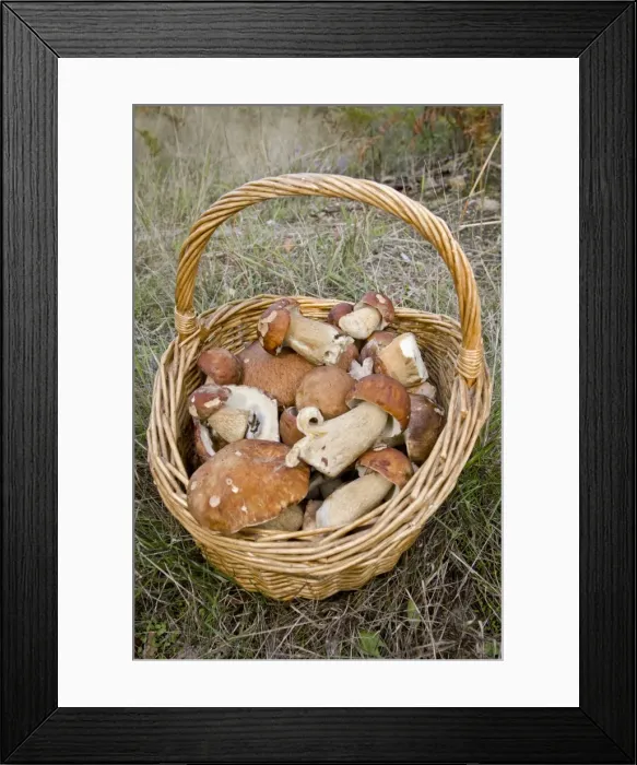 Framed Print : Picture No. 11051028 Framed Print : Picture No. 11051028