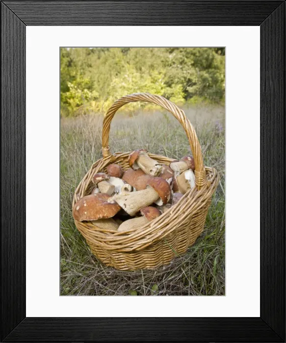 Framed Print : Picture No. 11051029 Framed Print : Picture No. 11051029