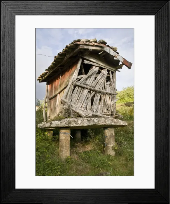 Framed Print : Picture No. 11051031 Framed Print : Picture No. 11051031