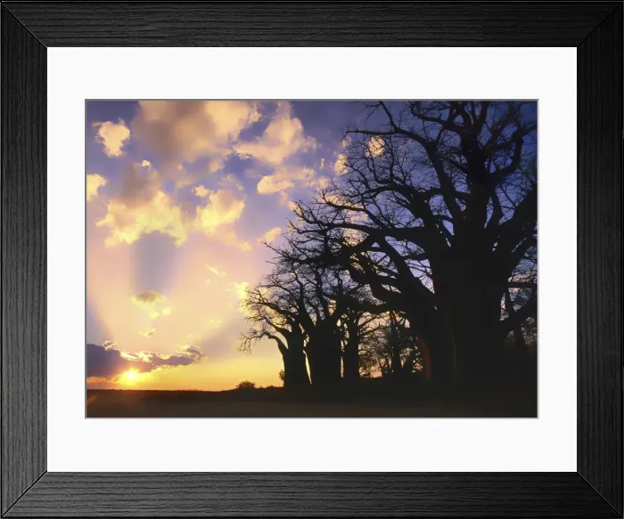Framed Print : Picture No. 11051039 Framed Print : Picture No. 11051039