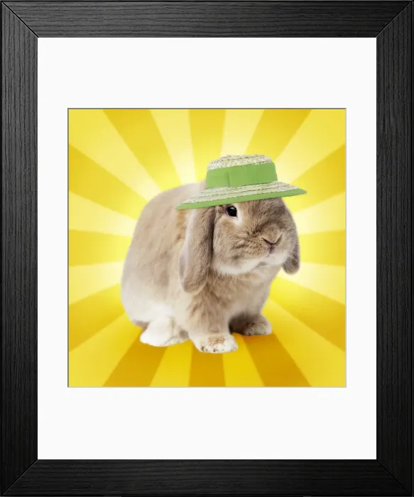 Framed Print : Picture No. 11052000 Framed Print : Picture No. 11052000