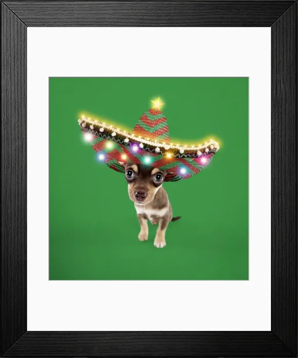 Framed Print : Picture No. 11052005 Framed Print : Picture No. 11052005