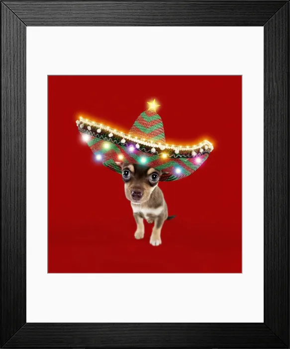 Framed Print : Picture No. 11052006 Framed Print : Picture No. 11052006