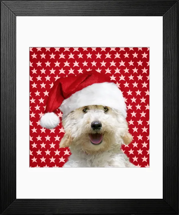 Framed Print : Picture No. 11052008 Framed Print : Picture No. 11052008