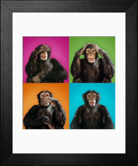 Framed Print : Picture No. 11051052 Framed Print : Picture No. 11051052