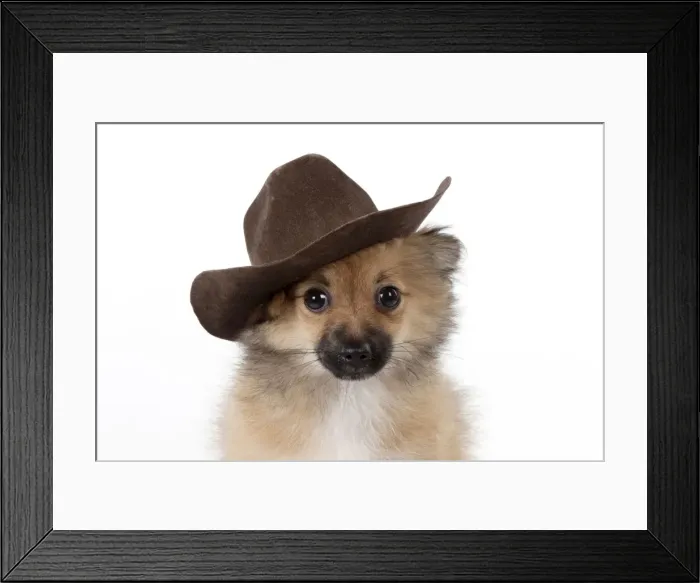 Framed Print : Picture No. 11051053