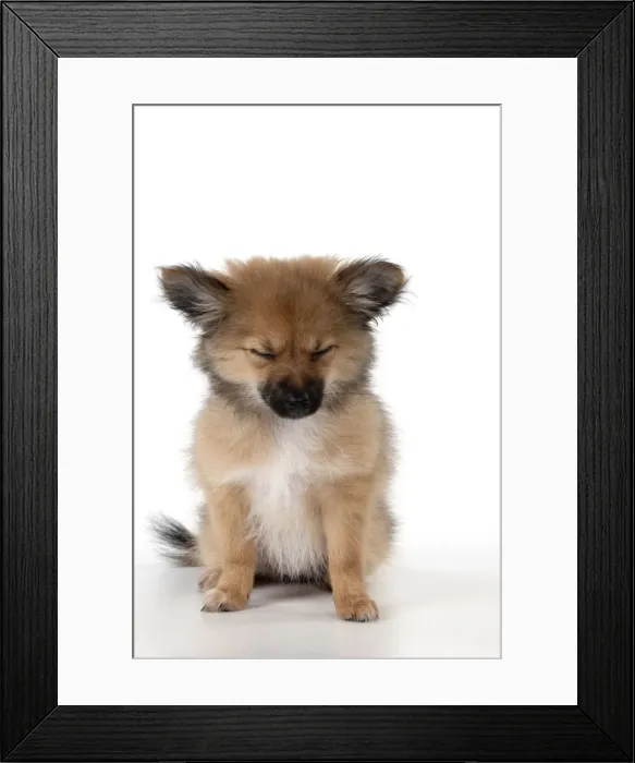 Framed Print : Picture No. 11051054 Framed Print : Picture No. 11051054