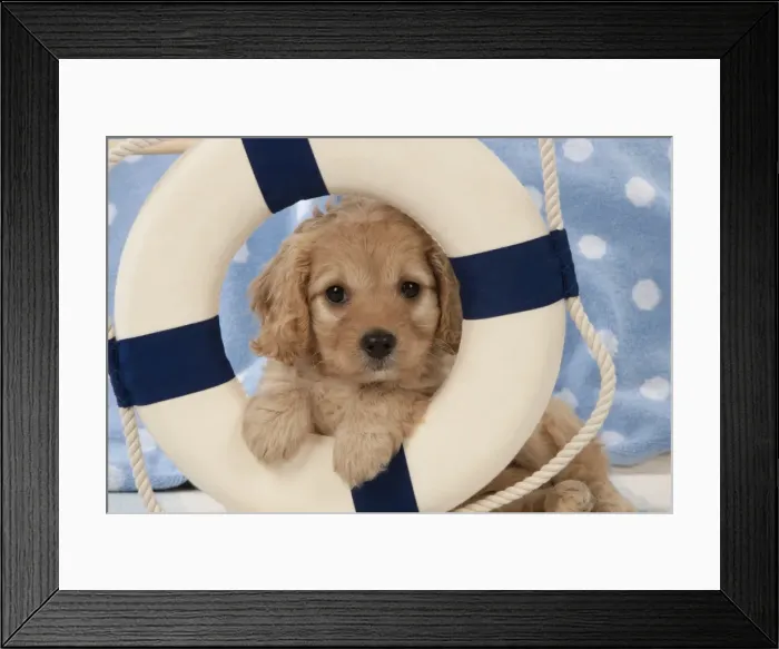 Framed Print : Picture No. 11051064 Framed Print : Picture No. 11051064