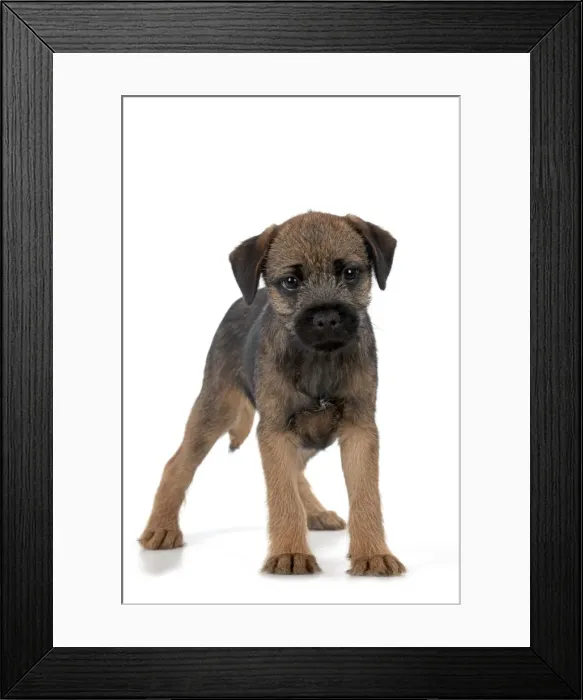 Framed Print : Picture No. 11051094 Framed Print : Picture No. 11051094