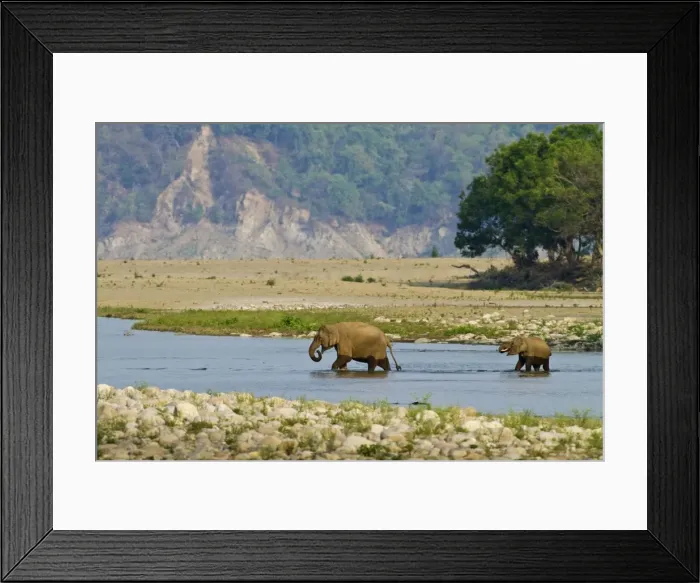 Framed Print : Picture No. 11051118 Framed Print : Picture No. 11051118