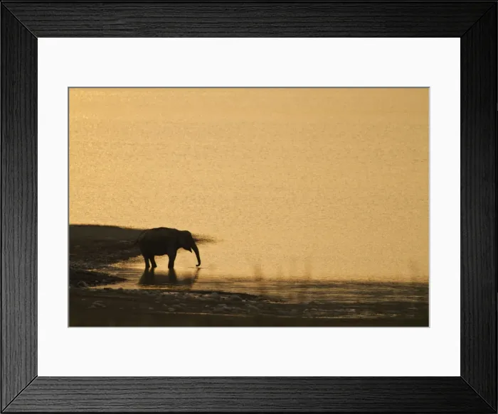 Framed Print : Picture No. 11051123 Framed Print : Picture No. 11051123