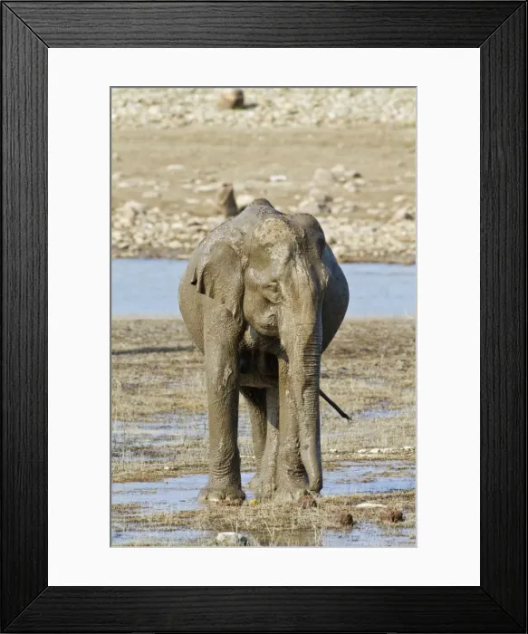 Framed Print : Picture No. 11051136