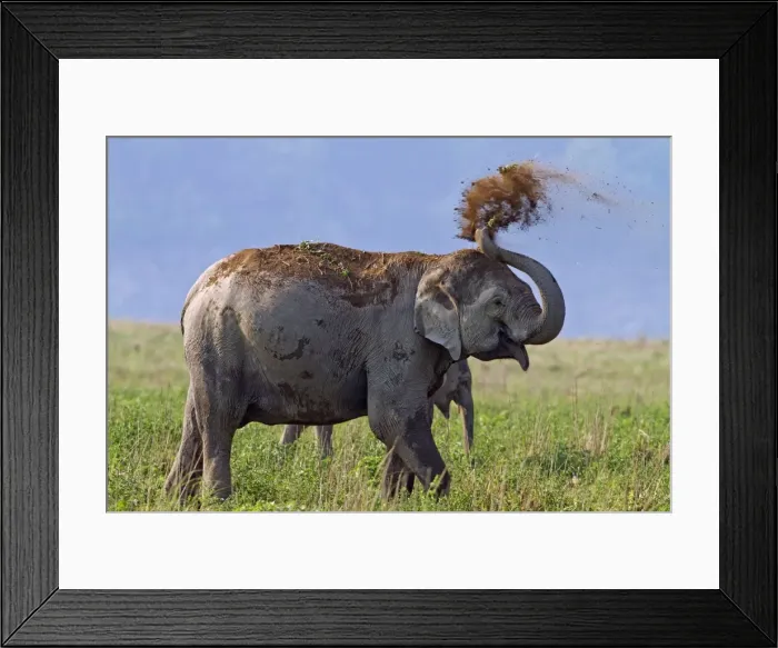 Framed Print : Picture No. 11051137 Framed Print : Picture No. 11051137