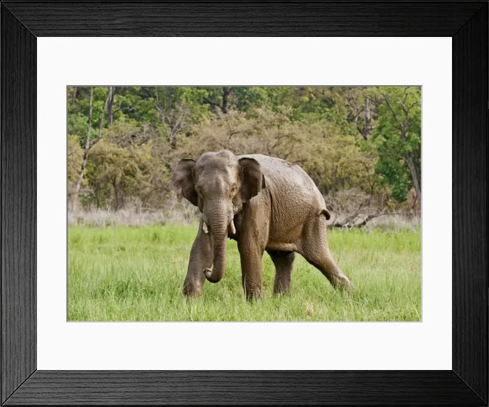 Framed Print : Picture No. 11051142 Framed Print : Picture No. 11051142