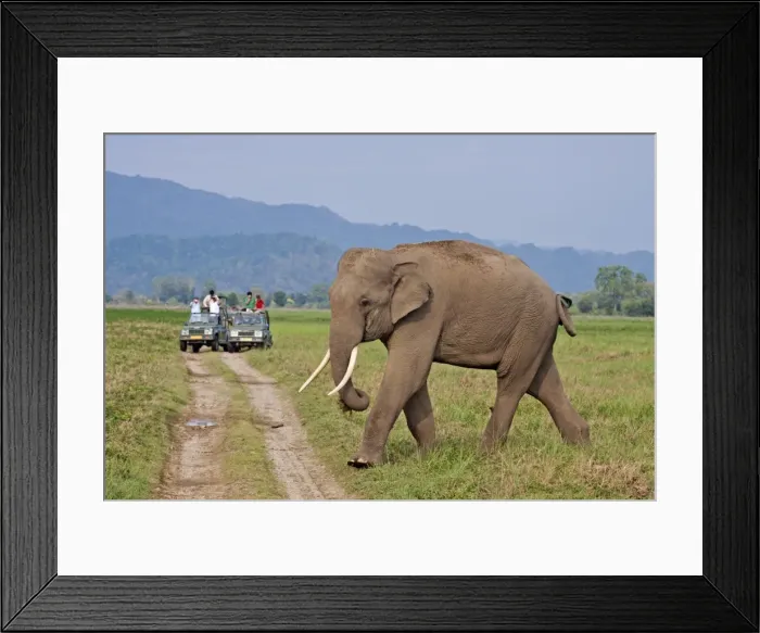 Framed Print : Picture No. 11051143 Framed Print : Picture No. 11051143