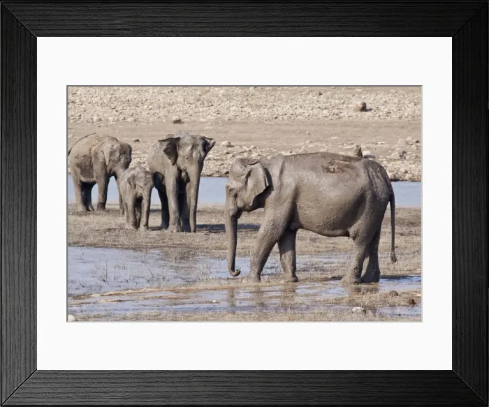 Framed Print : Picture No. 11051145 Framed Print : Picture No. 11051145