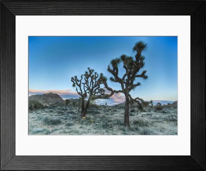 Framed Print : Picture No. 11051148 Framed Print : Picture No. 11051148