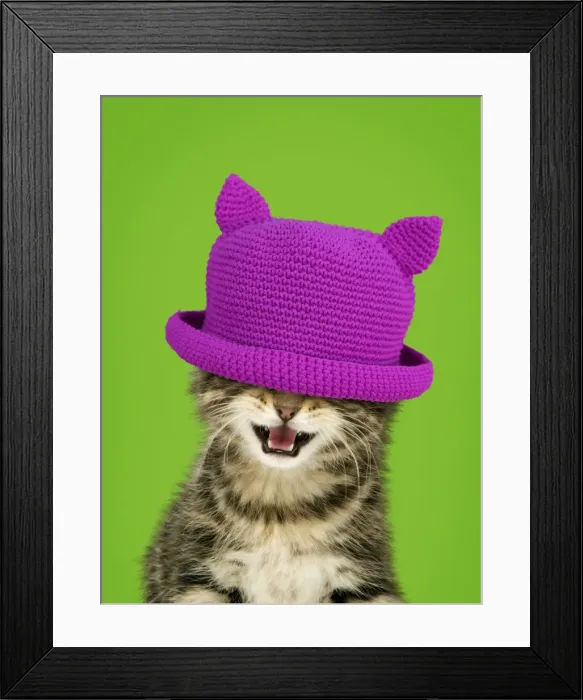 Framed Print : Picture No. 11052022 Framed Print : Picture No. 11052022
