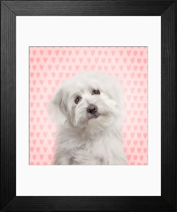 Framed Print : Picture No. 11052023 Framed Print : Picture No. 11052023