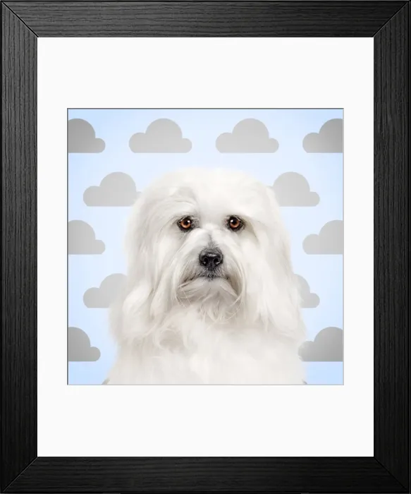 Framed Print : Picture No. 11052025 Framed Print : Picture No. 11052025