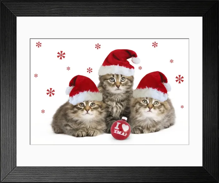 Framed Print : Picture No. 11052026 Framed Print : Picture No. 11052026