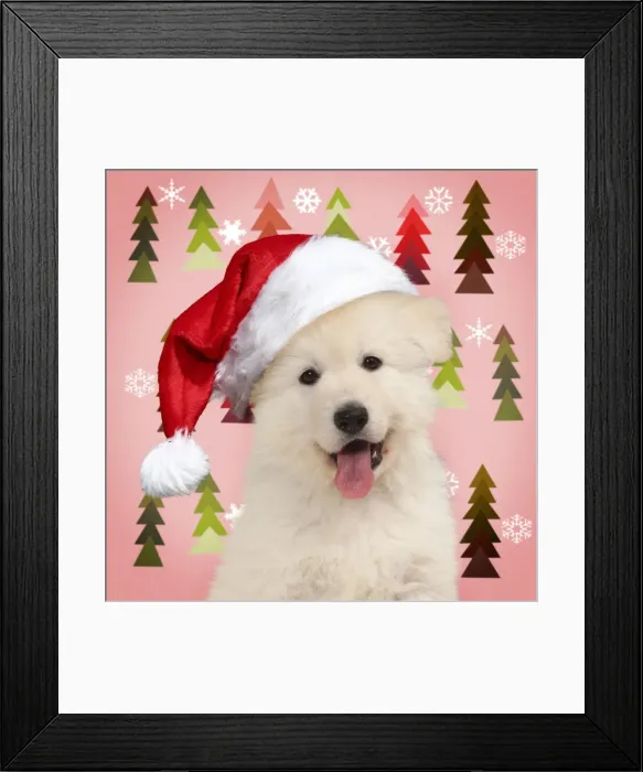 Framed Print : Picture No. 11052015