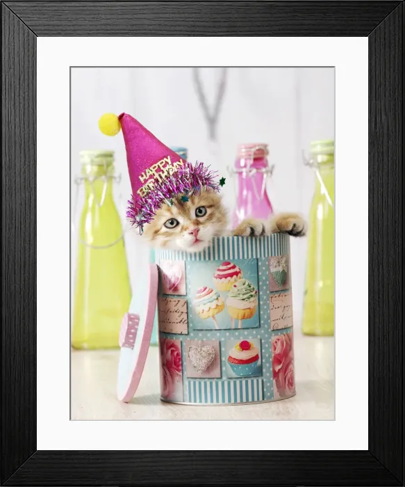 Framed Print : Picture No. 11052017 Framed Print : Picture No. 11052017