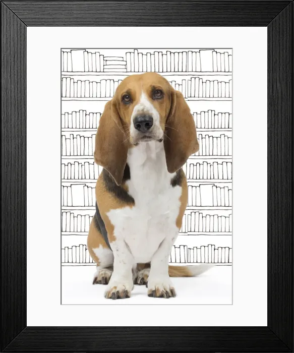 Framed Print : Picture No. 11051209 Framed Print : Picture No. 11051209