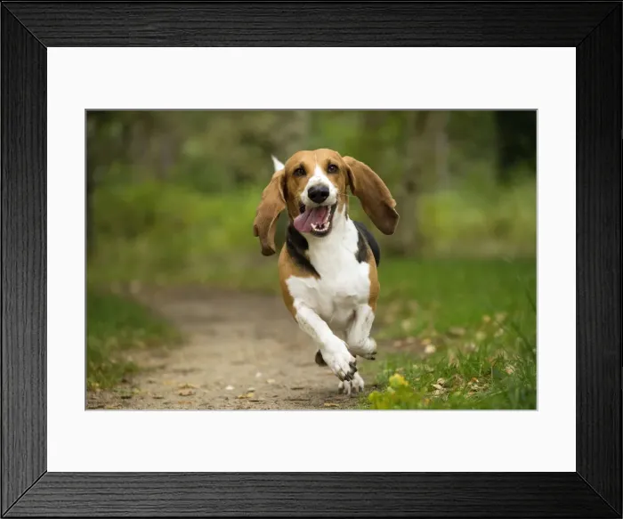 Framed Print : Picture No. 11051210 Framed Print : Picture No. 11051210