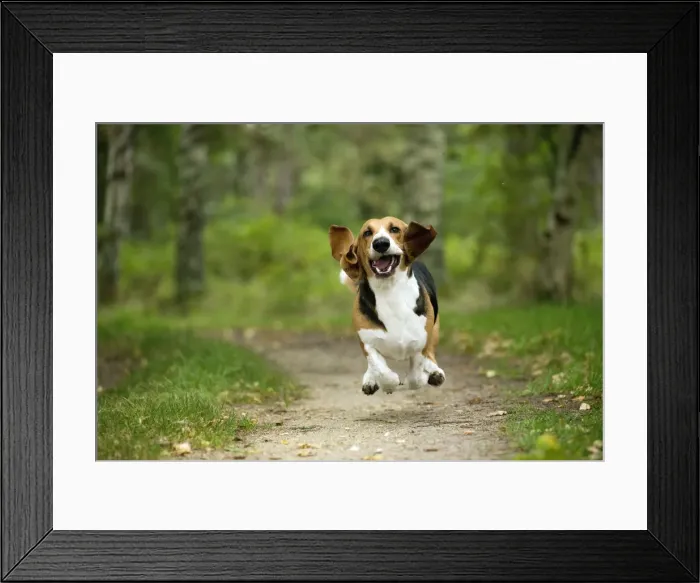 Framed Print : Picture No. 11051211 Framed Print : Picture No. 11051211