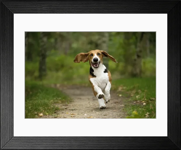 Framed Print : Picture No. 11051215 Framed Print : Picture No. 11051215