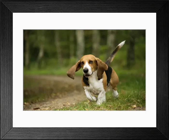 Framed Print : Picture No. 11051217 Framed Print : Picture No. 11051217