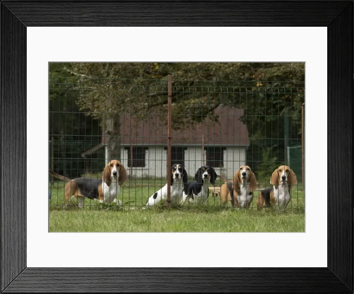 Framed Print : Picture No. 11051220 Framed Print : Picture No. 11051220